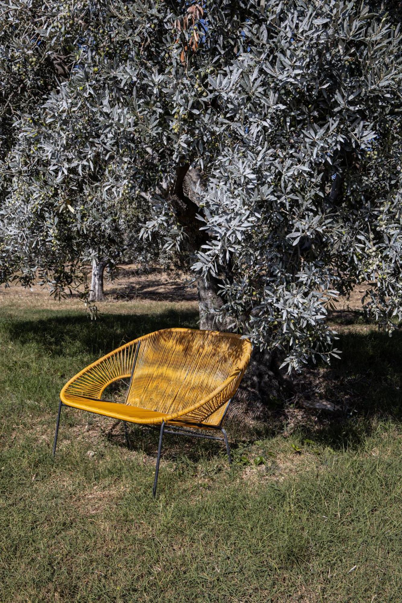 Agriturismo Podere L'Agave San Vincenzo Exterior foto