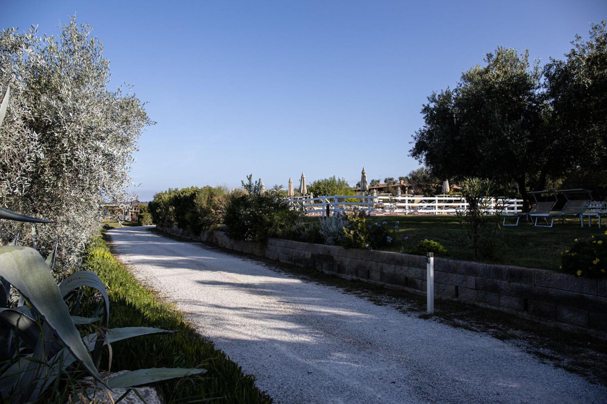 Agriturismo Podere L'Agave San Vincenzo Exterior foto